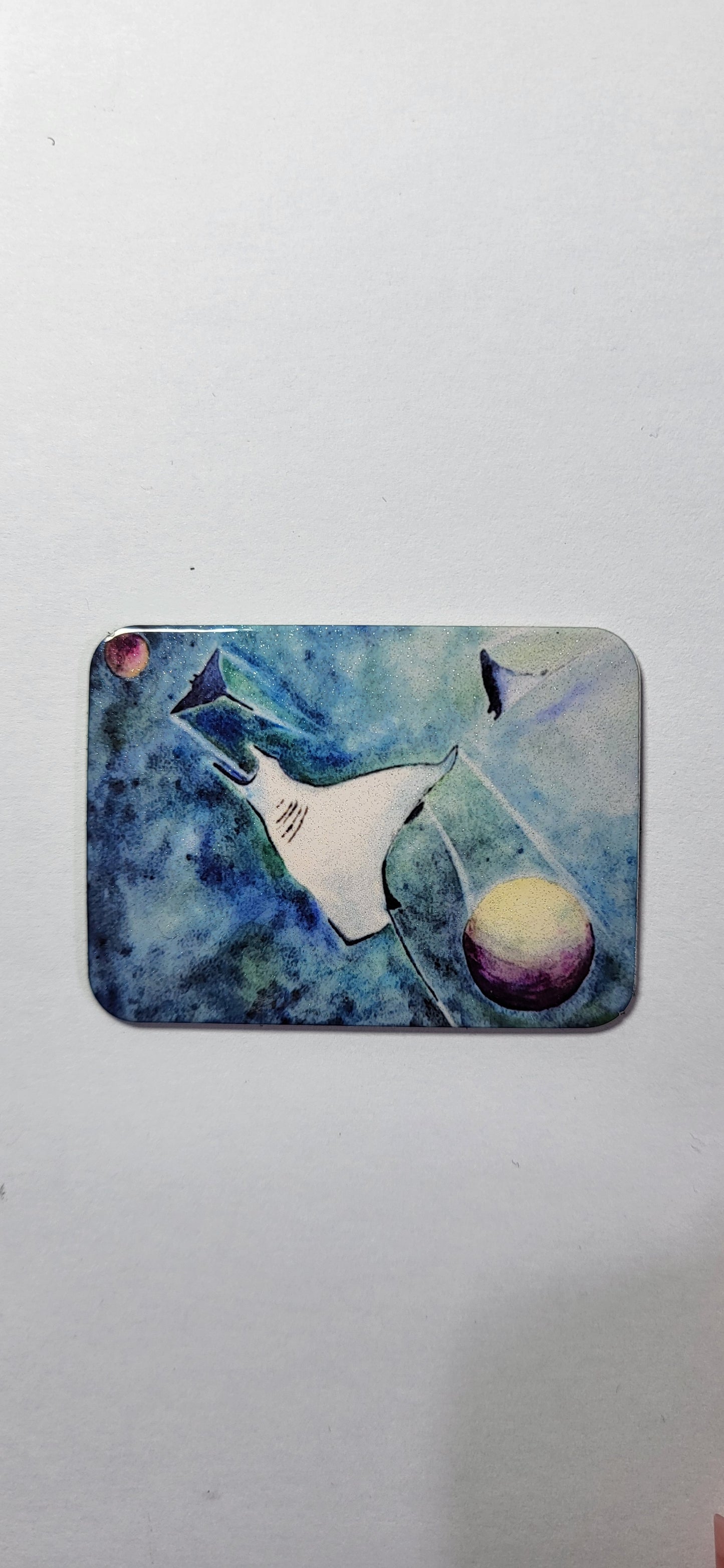 Magnets les Raies