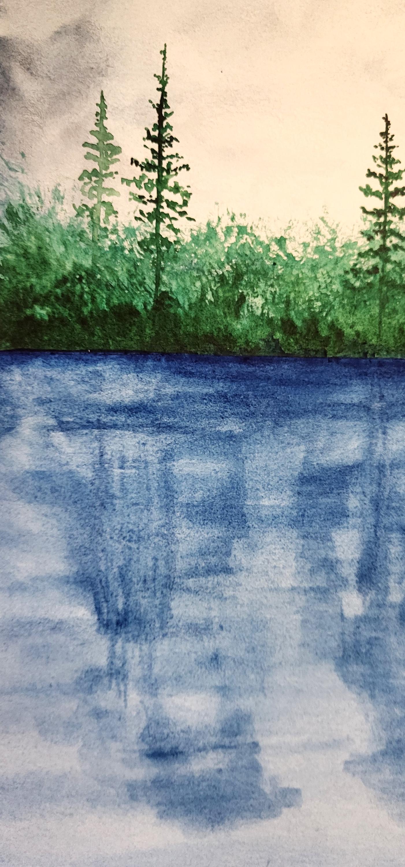 La forêt Invisible