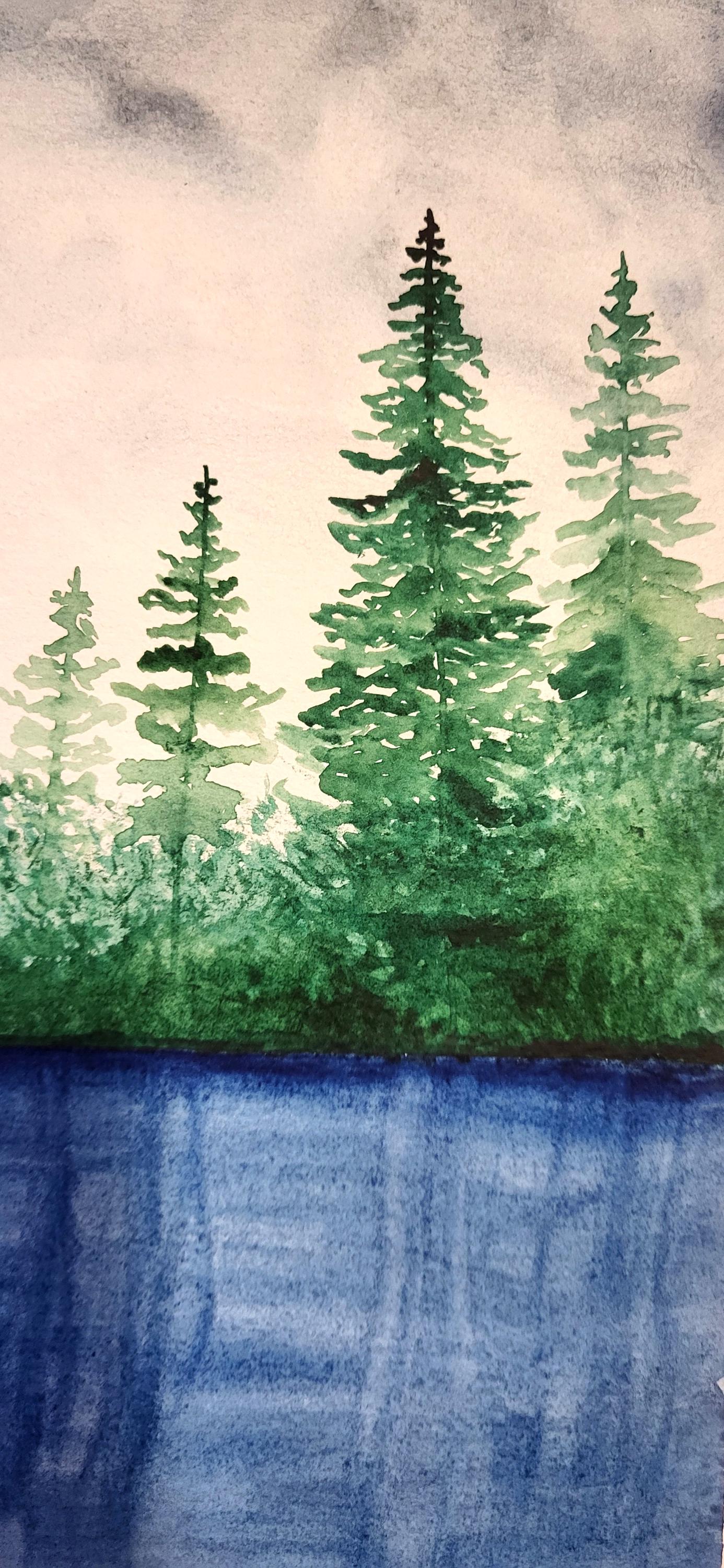 La forêt Invisible